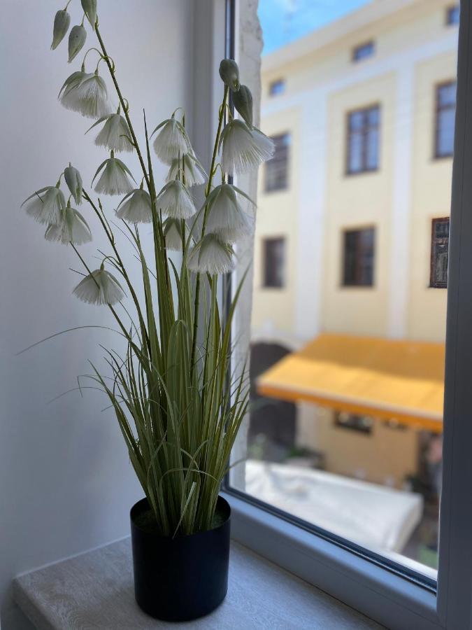 Homelike Apartment Lviv Buitenkant foto